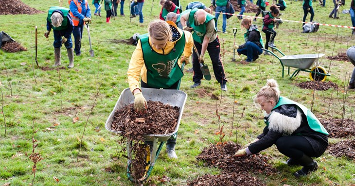 Tree Planting For Web