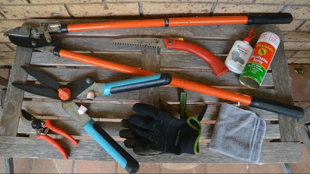 Pruning Tool Medley