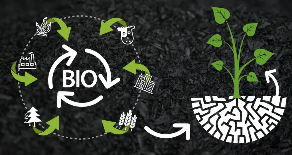 BioChar Circular Economy