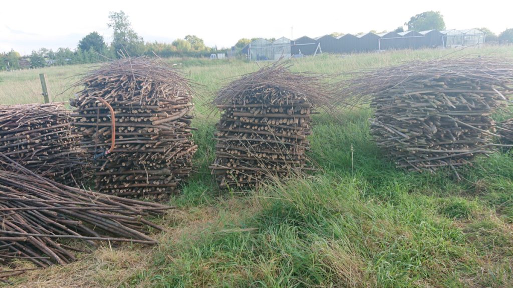 Stacked Timber for Drying