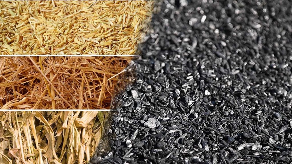 Biomass BioChar