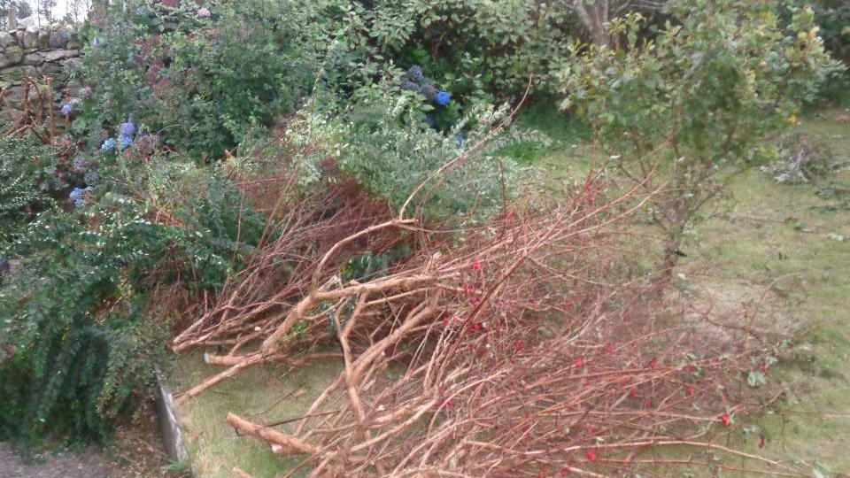 Garden Pruning Pile